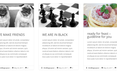 Divi Category Layout for Bloggers