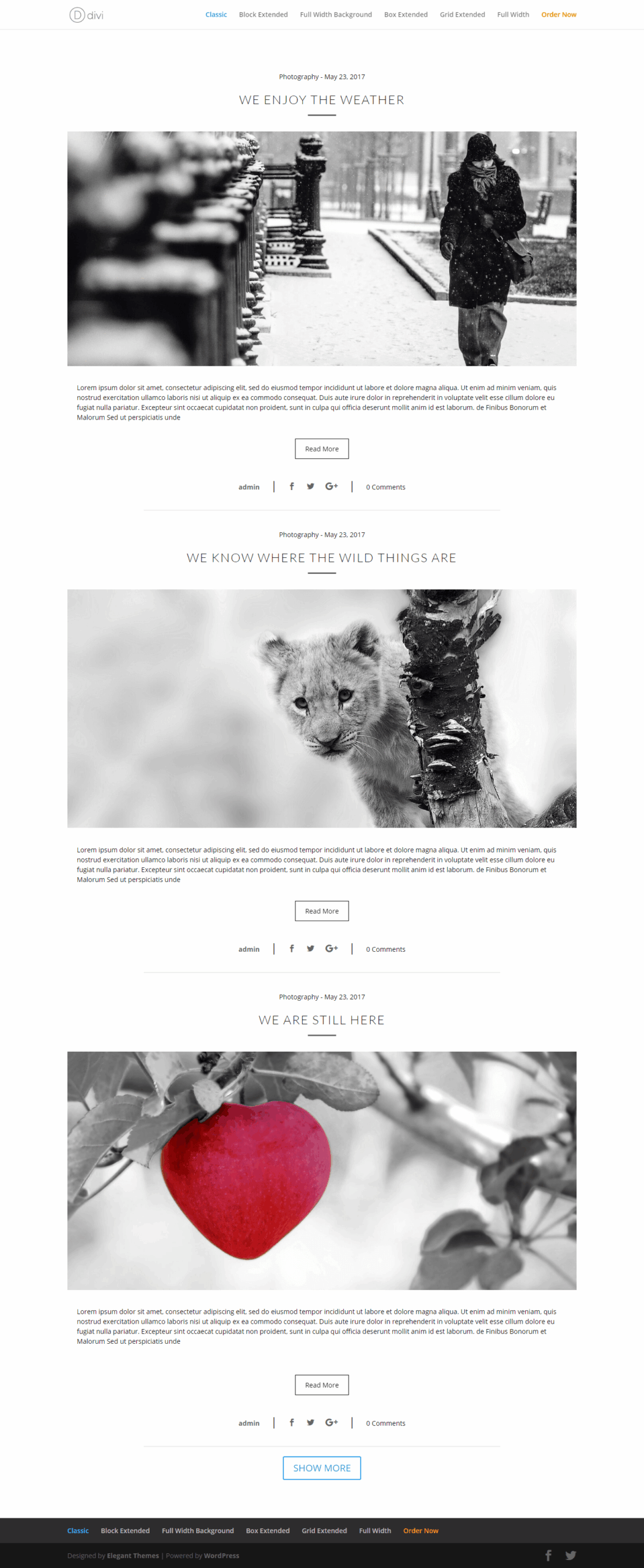 6 Beautiful and Ready to Use Layouts for Divi Blogs
